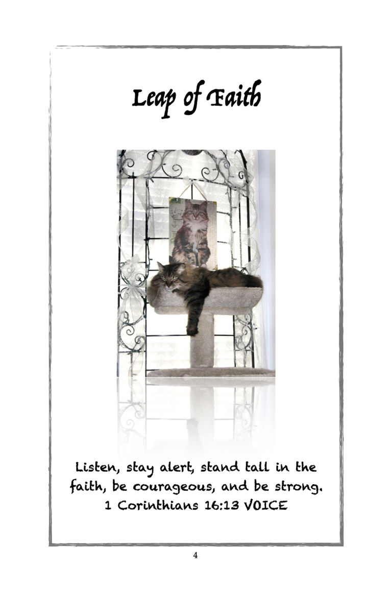 From the "Leap of Faith" Devotional