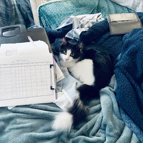 Look Who’s Keeping an Eye on the Budget