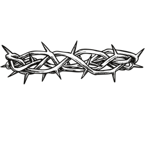 How did Jesus Arrive?