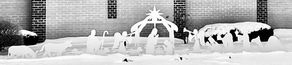 The Holy Nativity