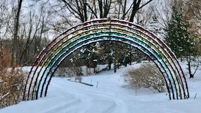 Within the Rainbow of Lights