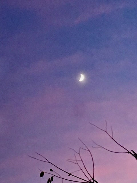 A half-moon highlighted by God's artistry