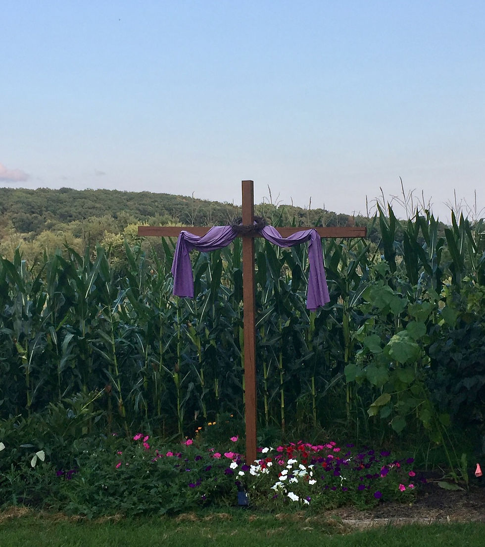 The Cross in the Cornfield