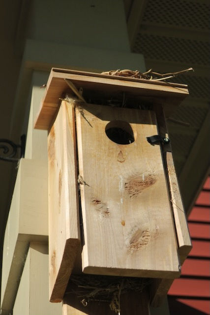 Wooden birdhouse on our front porch