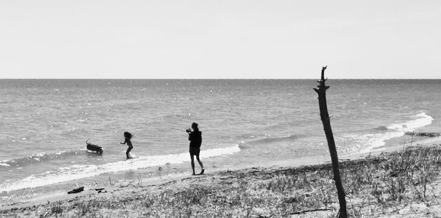 A family playing with their dog at the beach