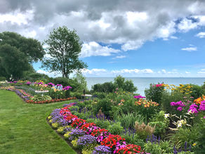 Come into the Garden