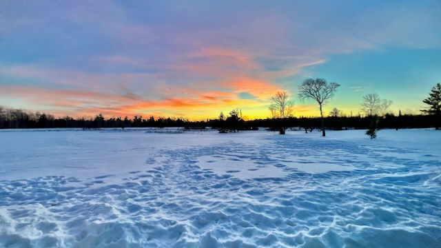 A winter wonderland at dawn