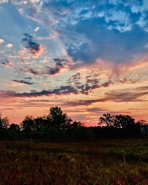 Dawn rising in our neighborhood