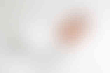 Newborn session captured by best Sacramento newborn photographer in a natural light Roseville studio, featuring a baby girl with her proud older siblings and loving parents in soft, neutral tones.