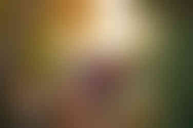 Family of four posing together during a fall family photography session surrounded by golden trees at the Iris Farm in Loomis, California.