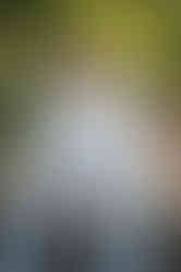 Maternity session at davis Arboretum by the best Sacramento Maternity Photographer