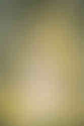 Pregnant woman in a flowing dress at a lavender farm in Lincoln, California during golden hour, with her partner capturing candid moments on a dock for a romantic, storybook-style maternity session.