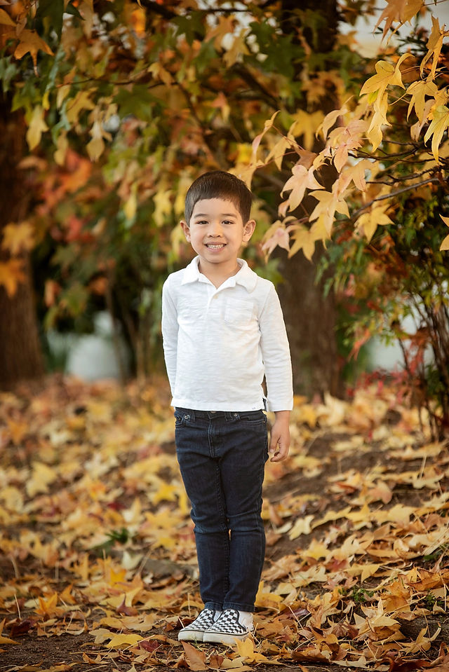 Family session at The Flower Farm by Sacramento Best Portrait Photographer Kristina Martin Photography. 