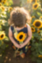 Woodland Sunflowers, Davis Sunflowers, 3 Year Session, Photo Session, Sacramento Photographer, Roseville Photographer, Lincoln Photographer, Best Portrait Photographer, Custom Photographer, Fine Art Photographer, Kristina Martin Photography, KMP, Family Photography, Northern California Photographer