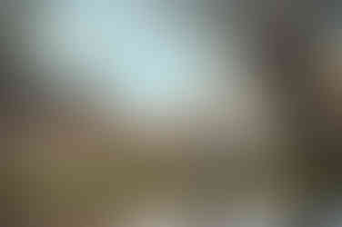 Pregnant mother and her family during an overcast maternity session at Gibson Ranch, captured with soft, natural light. Includes moments with siblings, partner, and a teddy bear holding baby’s heartbeat. Photographed by the best Sacramento maternity photographer.