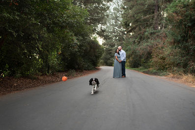 Maternity session in the Redwood Trees by Sacramento Best Portrait Photographer Kristina Martin Photography.