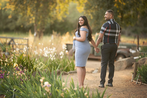 Golden hour maternity session at the Iris Farm with Sacramento maternity photographer Kristina Martin