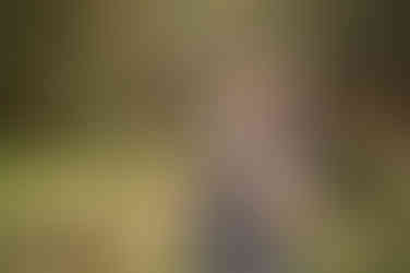 Family with a one year old child during a milestone photography session at a nature reserve in Citrus Heights, California.