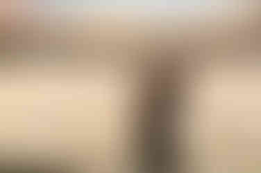 Maternity session at Folsom Lake featuring Sasha and her family, captured by the best Sacramento maternity photographer Kristina Martin Photography.