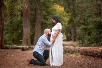 Maternity session in the Redwood Trees by Sacramento Best Portrait Photographer Kristina Martin Photography.