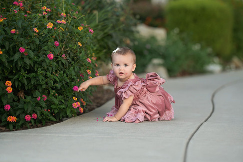 One year milestone session in Rocklin featuring a baby girl in a mauve velvet dress with her family. Photos captured in a rose garden, orchard, and near a quaint little church by Sacramento family photographer Kristina Martin.