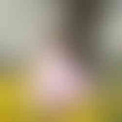 Princess session by best Sacramento portrait photographer