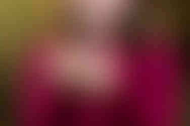 Family of four posing together during a fall family photography session surrounded by golden trees at the Iris Farm in Loomis, California.