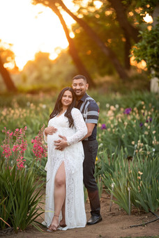 Golden hour maternity session at the Iris Farm with Sacramento maternity photographer Kristina Martin