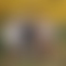 Large extended family posing together among golden fall trees during a family photography session at the Iris Farm in Loomis, California.