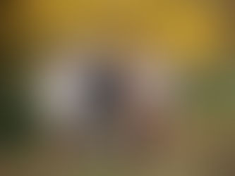 Large extended family posing together among golden fall trees during a family photography session at the Iris Farm in Loomis, California.