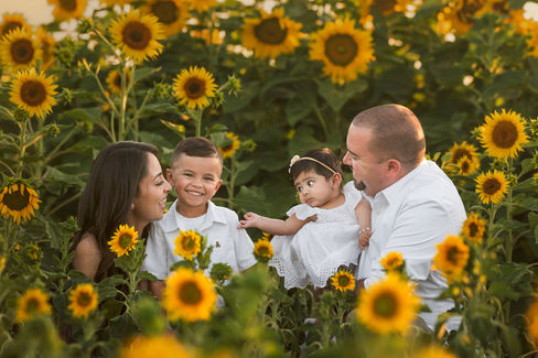 Family photoshoot in the local sunflower field by Sacramento Family Photographer Kristina Martin