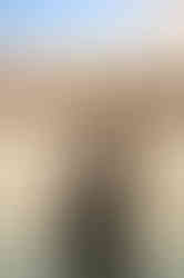 Sasha in a black maternity dress, holding her belly while standing in the lake, captured by the best Sacramento maternity photographer Kristina Martin