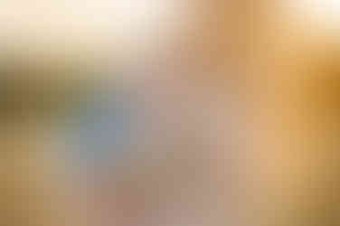 Sacramento family photographer captures a family of three in a local park at sunset with golden dry grass and warm natural tones.