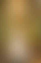 Expecting couple kissing during sunset at the lavender farm in Lincoln, CA surrounded by golden light, photographed by Sacramento and Roseville maternity photographer Kristina Martin.