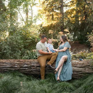 Redwood maternity session by Best Sacramento Maternity Photographer Kristina Martin Photography