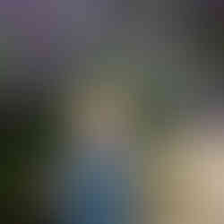 First birthday session by best Sacramento baby photographer