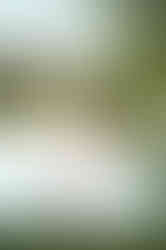 Senior girl in wildflower field at sunset, laughing and smiling during a golden hour photo session with the best Sacramento senior photographer.