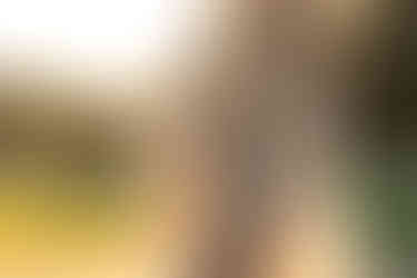 Maternity image of mom-to-be in golden dreamy light while holding her belly during her maternity session in Sacramento Ca taken by the best Sacramento Maternity Photographer Kristina Martin