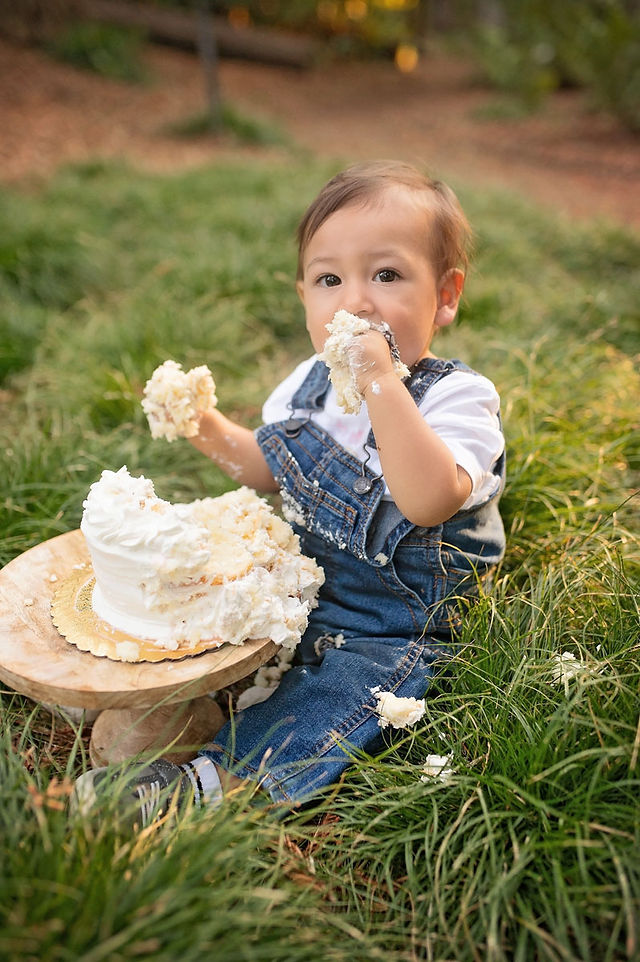 A one-year-old boy celebrating his first birthday with his parents at the Davis Arboretum in Davis, California, finishing the milestone session with a fun cake smash.