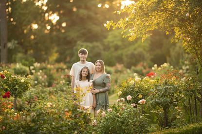 amily session at McKinley Rose Garden by Kristina Martin Photography, best Sacramento family photographer, golden hour photos in rose garden, soft natural light family portraits