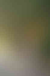 Family with a one year old baby during a milestone photography session at the UC Davis Arboretum in Davis, California.