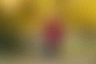 Family of four posing together during a fall family photography session surrounded by golden trees at the Iris Farm in Loomis, California.