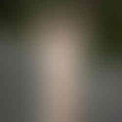 Redwood maternity session by Best Sacramento Maternity Photographer Kristina Martin Photography