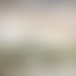 Pregnant couple standing together at a ranch near Sacramento during a golden winter sunset maternity photo session.