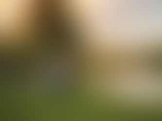 Expecting family with a young child during a golden hour maternity photography session at the Lavender Farm in Lincoln, California.