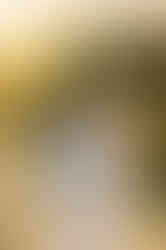 Sacramento family photographer captures a family of three in a local park at sunset with golden dry grass and warm natural tones.