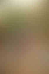 Family with a one year old child during a milestone photography session at a nature reserve in Citrus Heights, California.