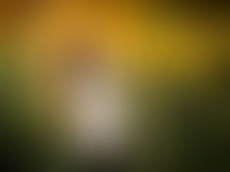 Maternity Session | Sacramento Maternity Photographer