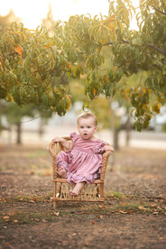 One year milestone session in Rocklin featuring a baby girl in a mauve velvet dress with her family. Photos captured in a rose garden, orchard, and near a quaint little church by Sacramento family photographer Kristina Martin.