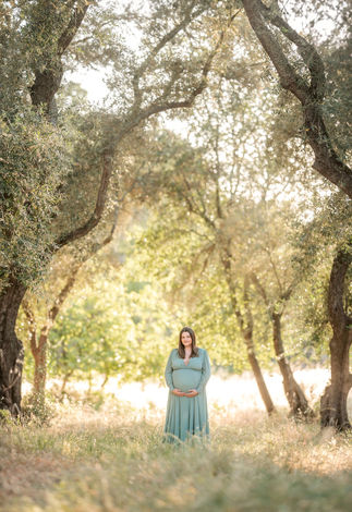 Wide shot of a pregnant woman standing under large oak trees in an open field taken by Sacramento photographer Kristina Martin Photography.